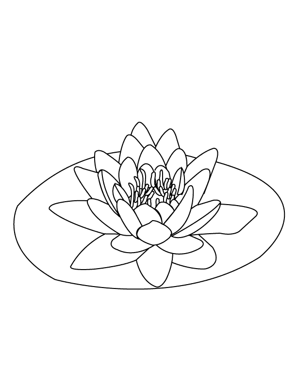 Coloring Pages - Water-lily