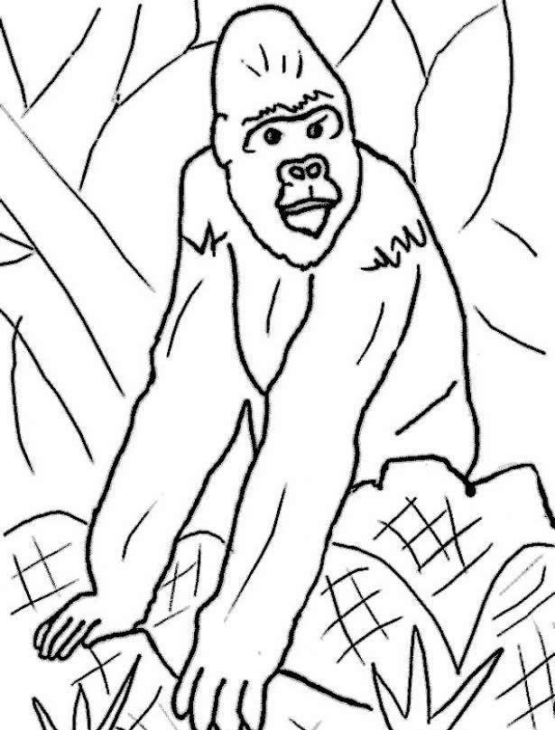 Gorilla Coloring Pages To Kids