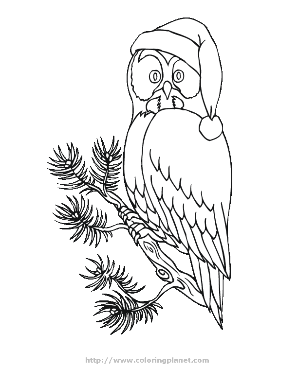 Christmas owl printable coloring in pages for kids - number 4077 