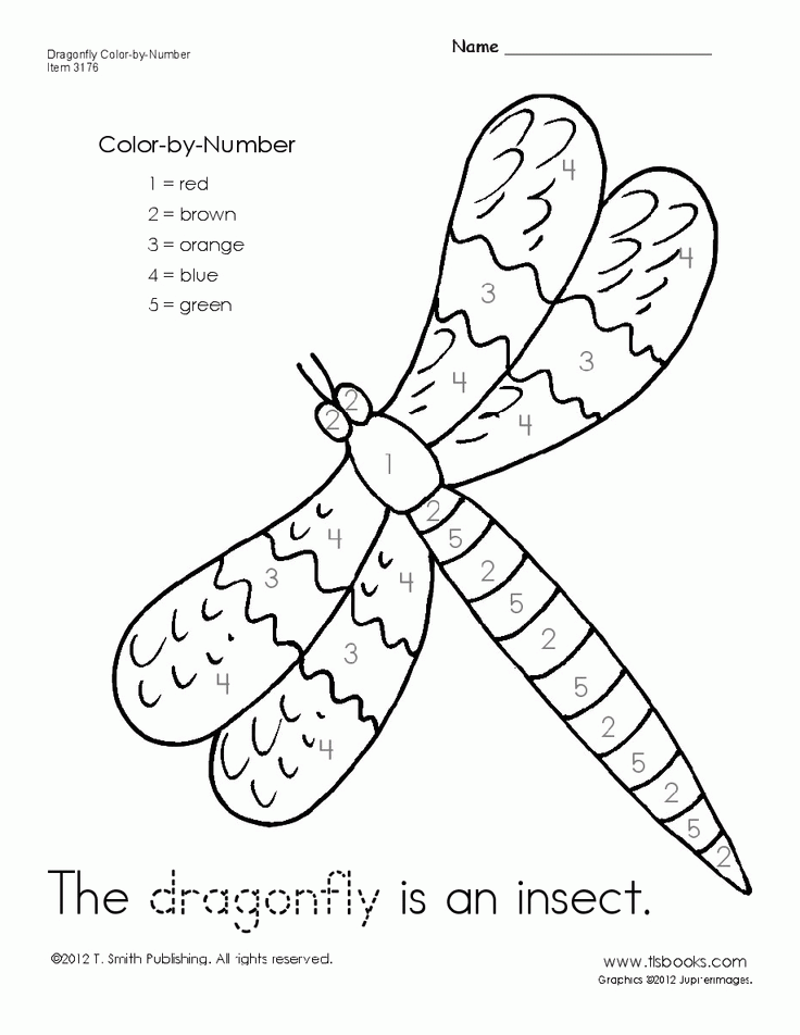 Dragonfly Color-by-Number Worksheet | Insect and Butterfly Theme | Pi…