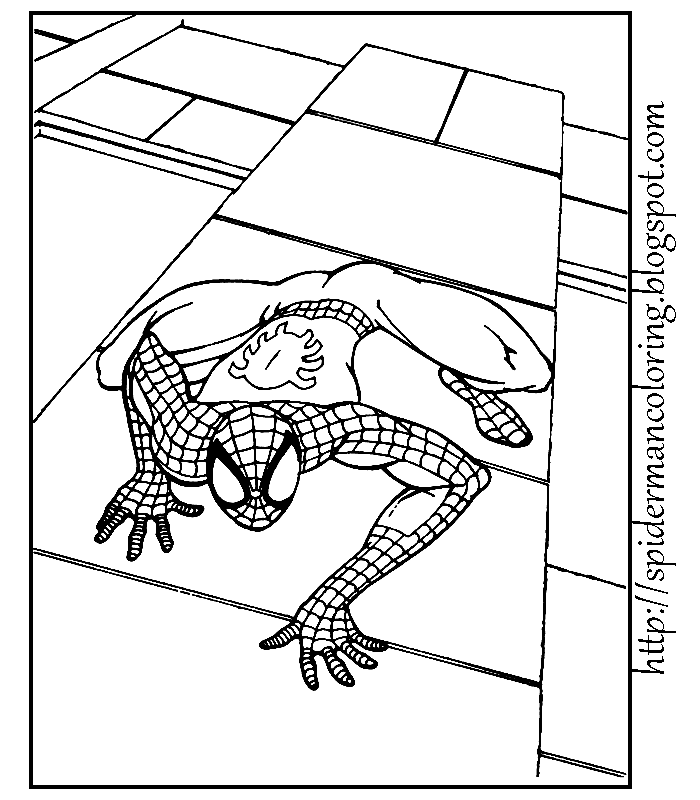 SPIDERMAN PRINT AND COLOUR