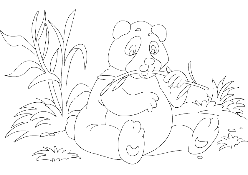 Panda for birthday Colouring Pages (page 2)