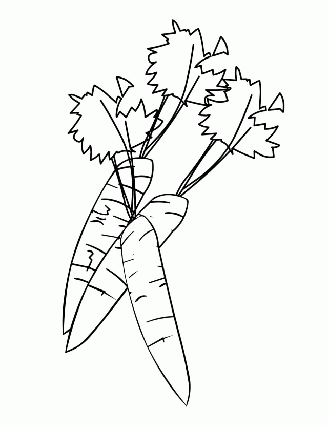Carrot Coloring Page Handipoints 180990 Carrot Coloring Page
