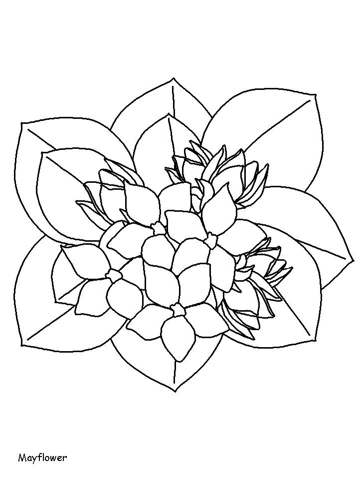 Flowers # 7 Coloring Pages & Coloring Book