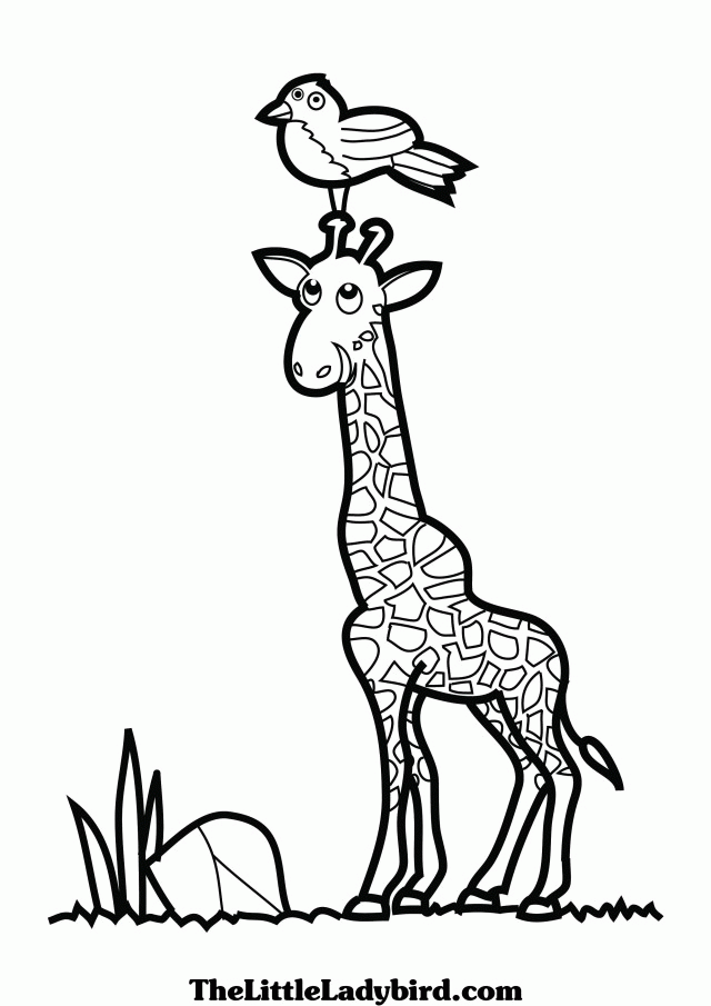 Coloring Page Of A Giraffe With Bird On Head Coloring Pages 94479 