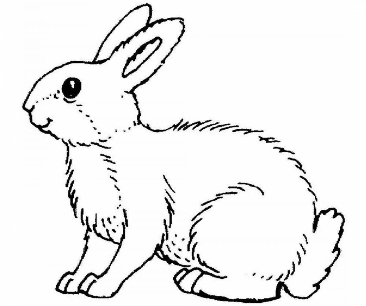 Rabbit Coloring Page | Coloring Pages