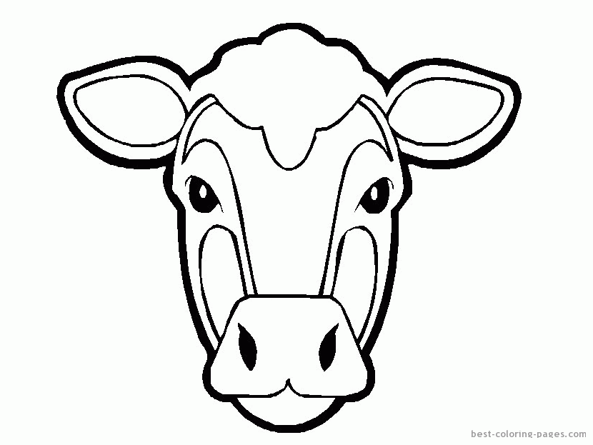 cow faces Colouring Pages