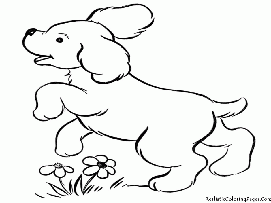 Doggie Coloring Pages Steps Baby Dog Coloring Pages Wallpaper 