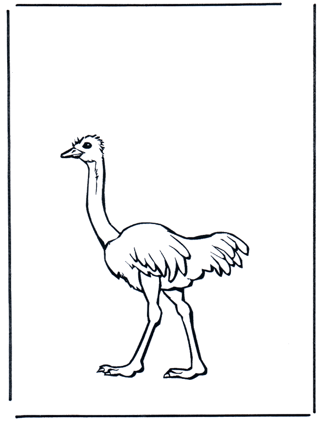 Download Ostrich Coloring Page - Coloring Home