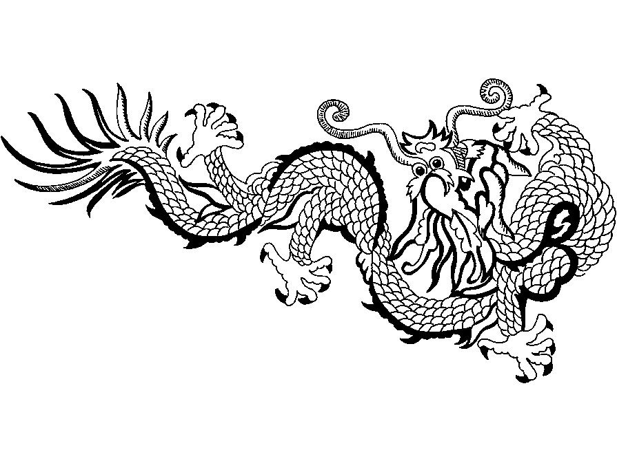Chinese Dragon Drawings