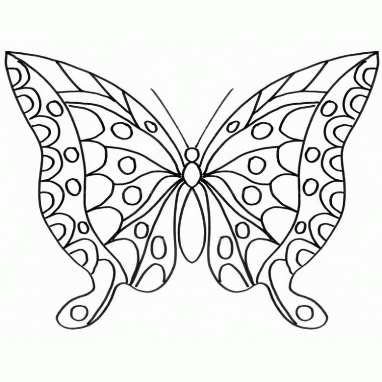 Butterfly Coloring Pages (
