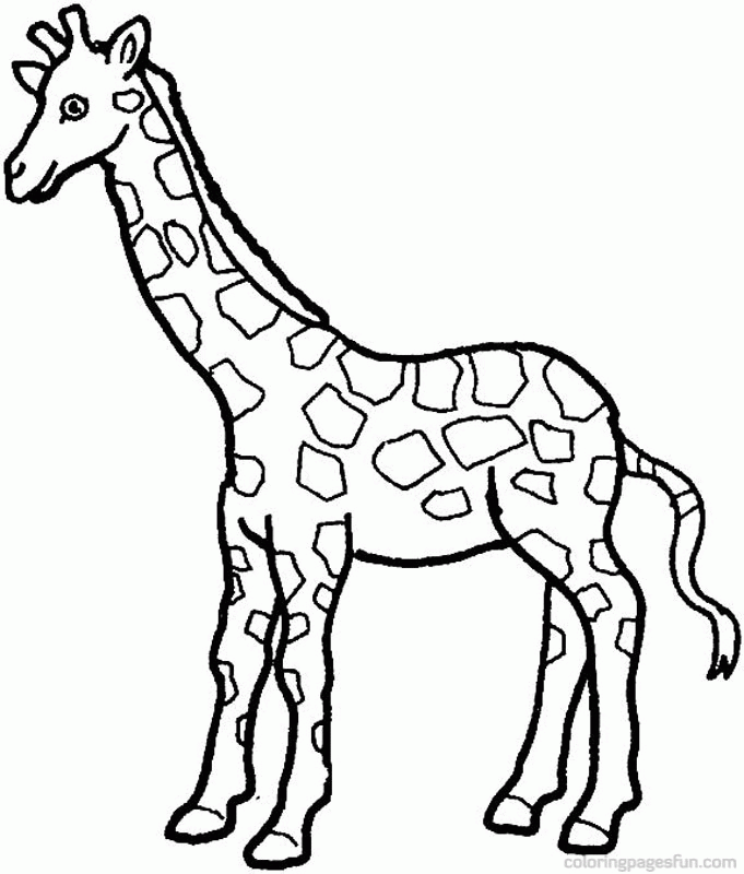 Download Picture Of A Giraffe To Color Coloring Home