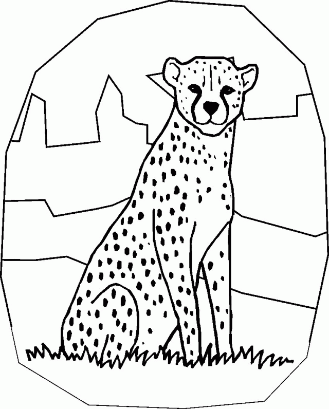 20 Cheetah Coloring Free Coloring Page Site 256460 Cheetah 