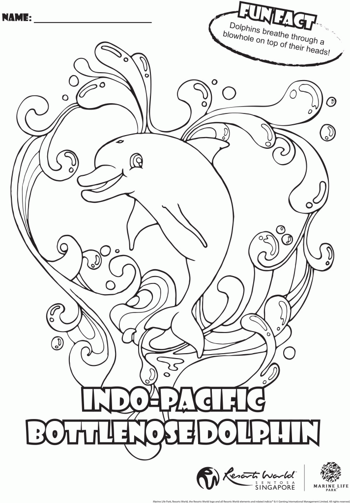 Coloring-sheet-Indopacific- 