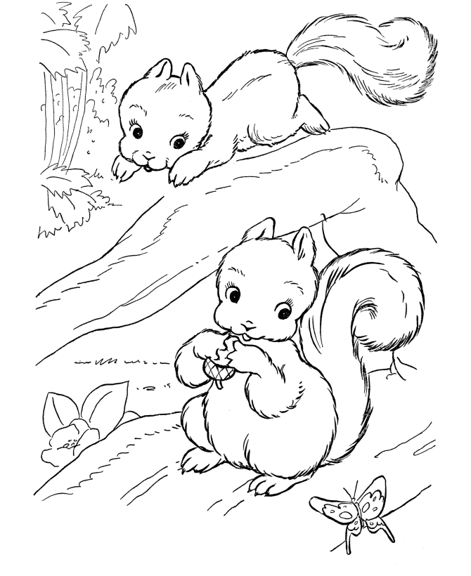 Coloring Pages Of Wild Animals - Free Printable Coloring Pages 