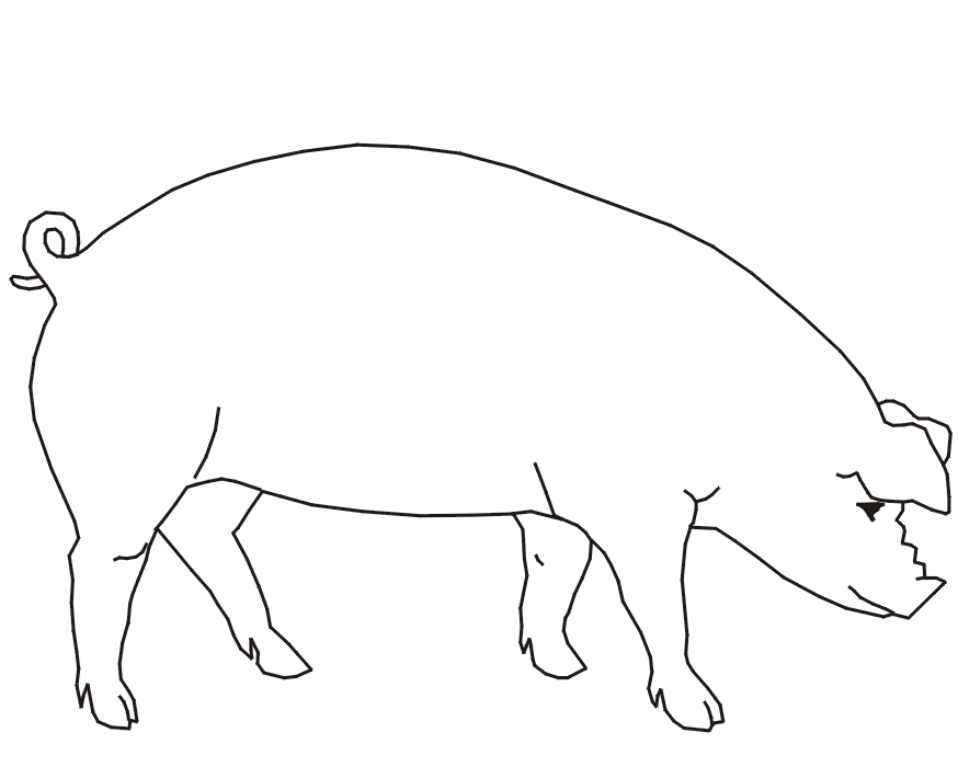 pig coloring page farm