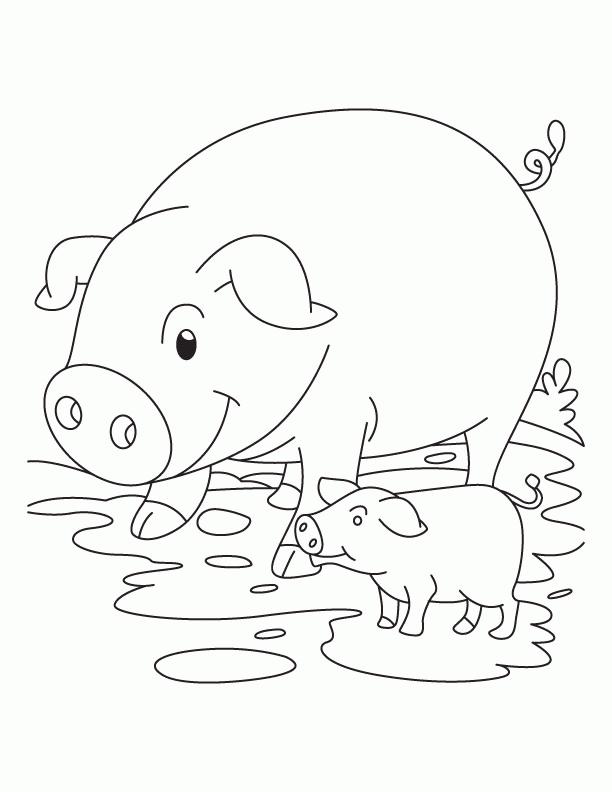 Download Cute Pig And Piglet Coloring Pages Or Print Cute Pig And 