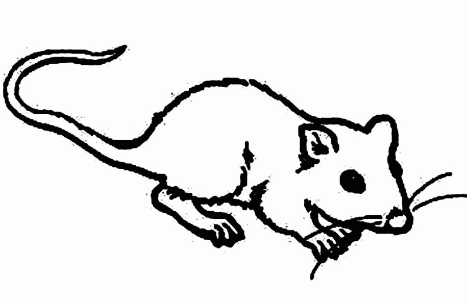 Architecture Photo: Simple Colorless Mouse Image For Kids And Easy 