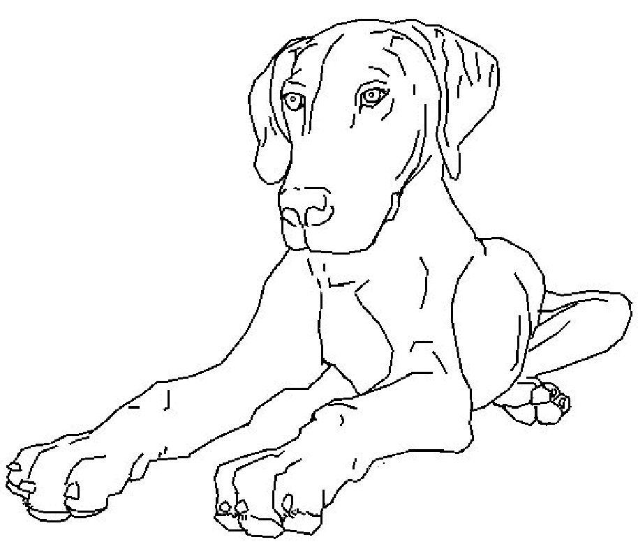 dogs coloring pages printable