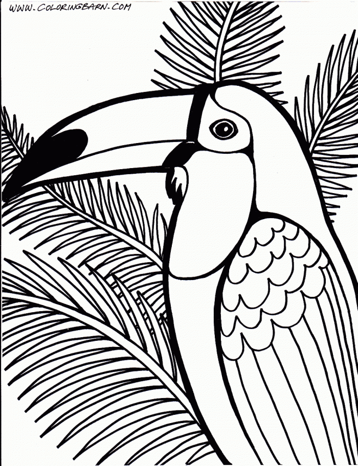 Toucan Coloring Page Kids | 99coloring.com