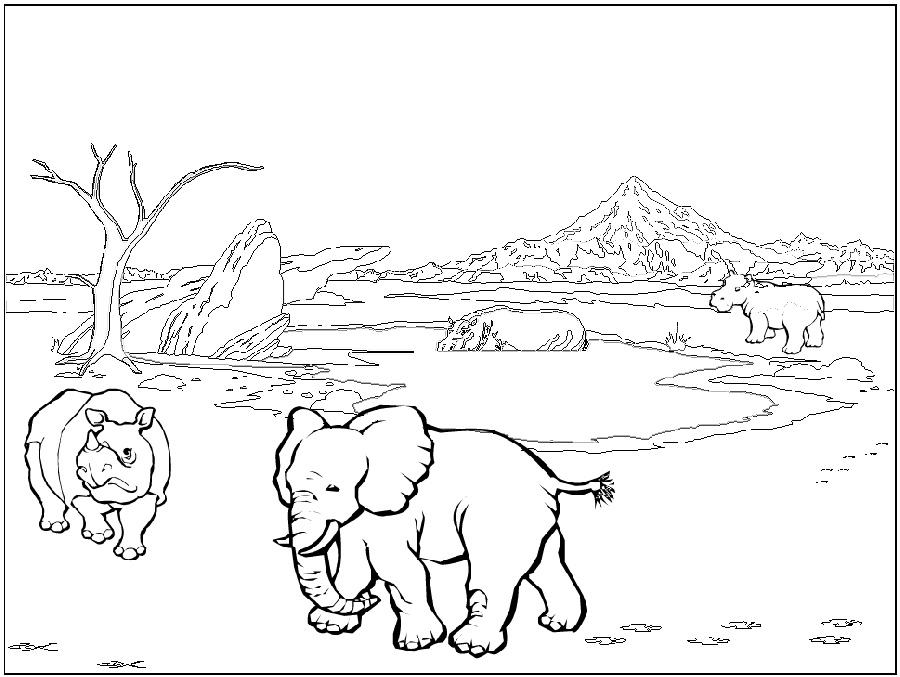 animals of africa Colouring Pages (page 2)