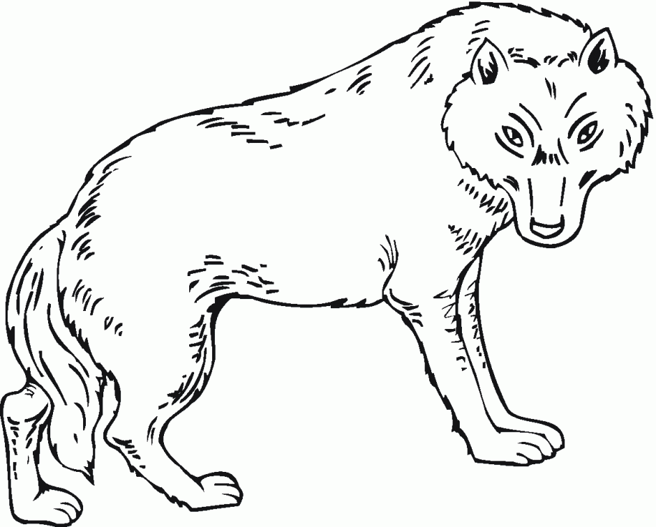 Realistic Coloring Pages Of Wolves Coloring Pages Coloring Pages 