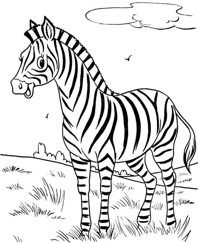 Wild Animal Coloring Pages | Happy little zebra Coloring Page and 