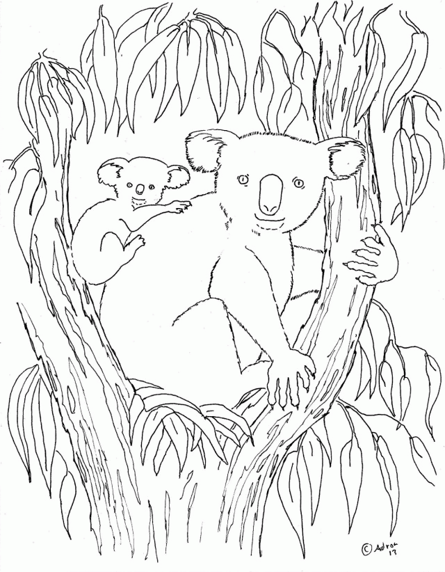 Mommy koala and baby koala on an eucalyptus tree coloring page