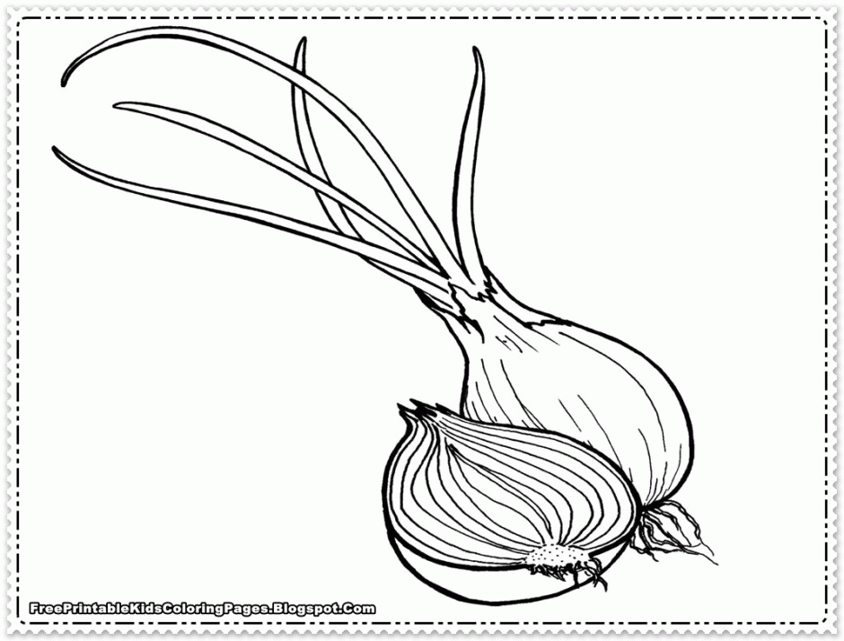 Onions Printable Kids Coloring Pages 216404 Anti Coloring Book Pages