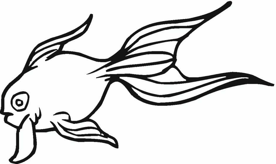Goldfish Coloring Pages Realistic Id 92945 Uncategorized Yoand 