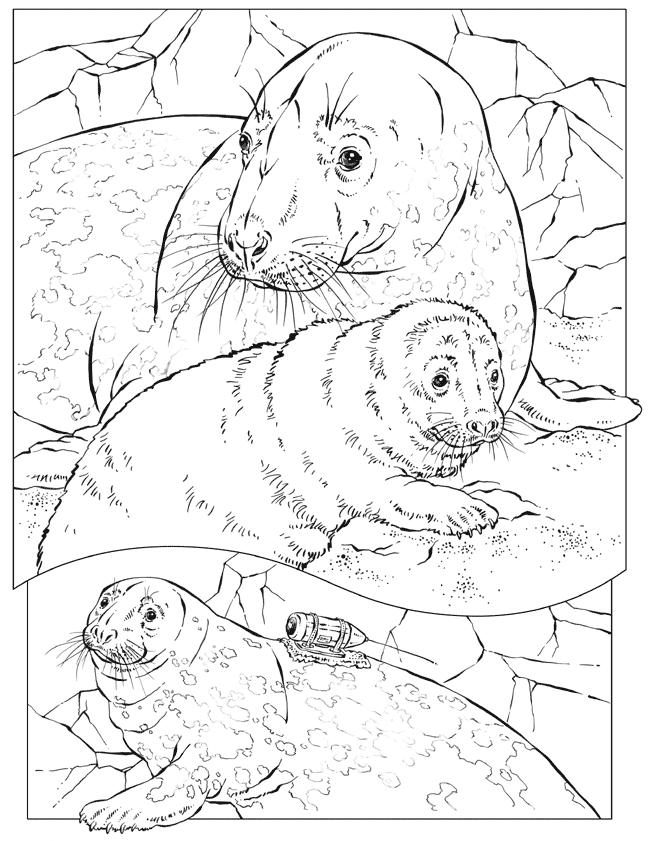 National Geographic Coloring Pages - Coloring Home