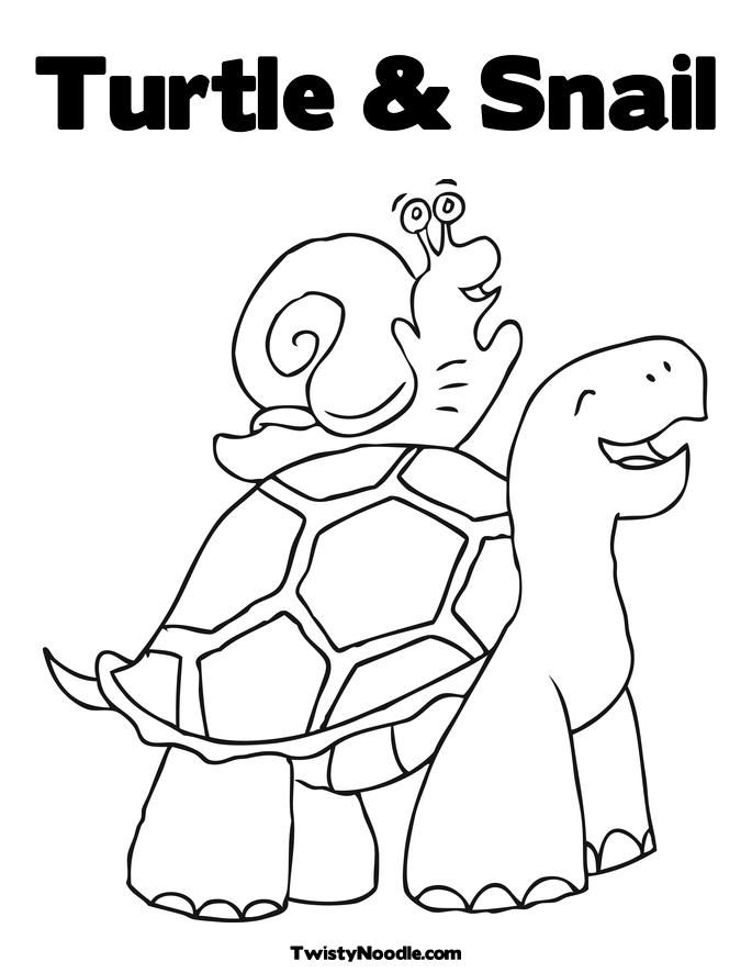 turtle crafts Colouring Pages