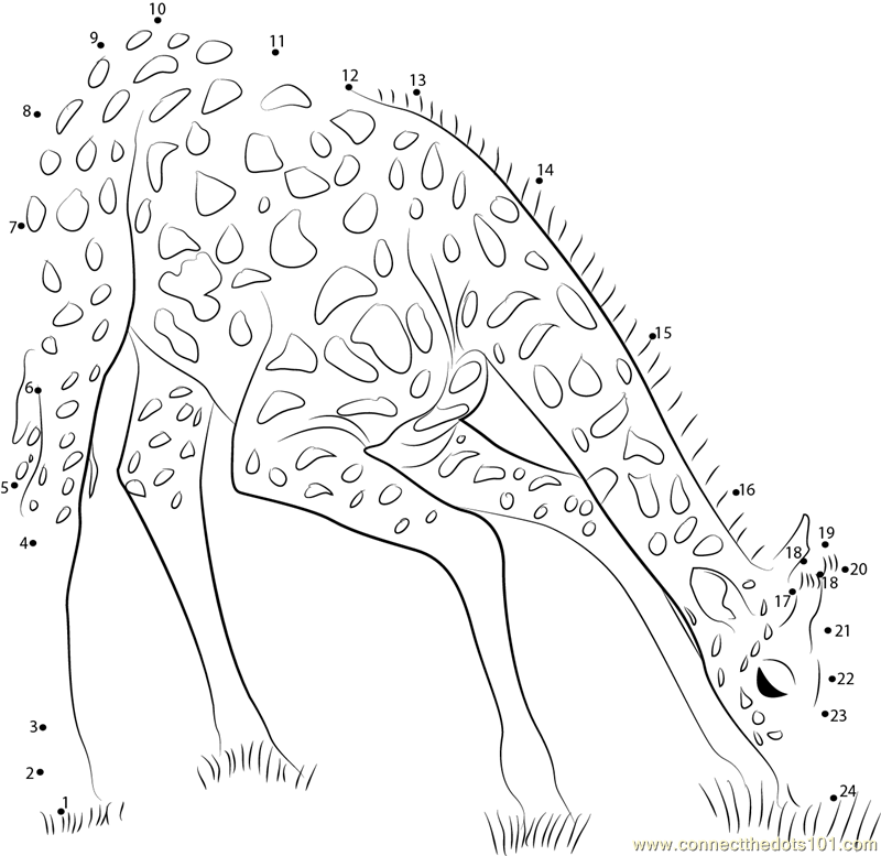 Connect the Dots Giraffe Eating Grass (Animals > Giraffe) - dot to 
