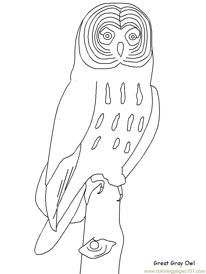 Great Horned Owl Coloring Sheets