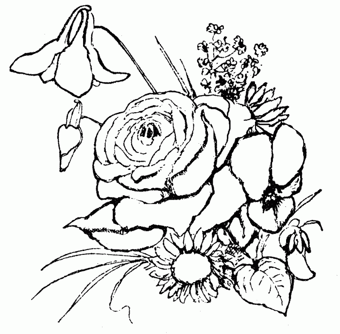 coloring-pages-of-a-rose-flower-360 | Free coloring pages for kids