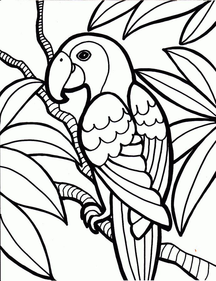 Color Page Animal Coloring Pages Plate Sheet Tattoo