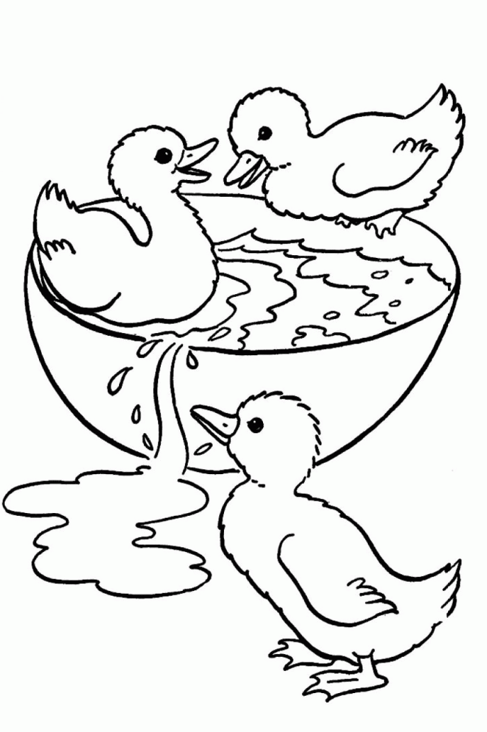 Duck Hunting Coloring Pages