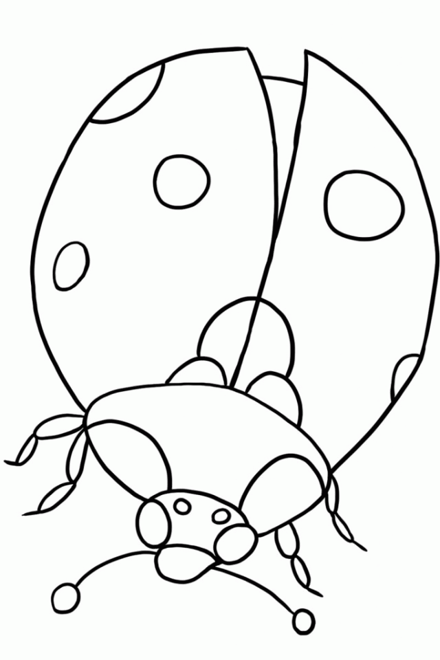 Cute Bug Coloring Pages | download free printable coloring pages