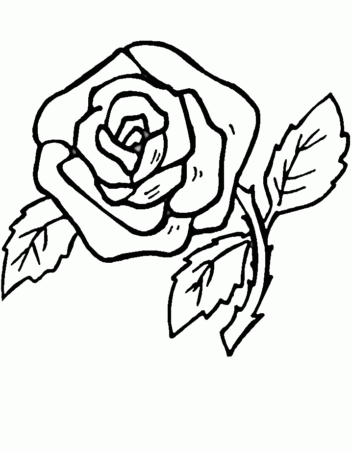 The Beautiful Flower And Very Fragrant Coloring Page |Flower 