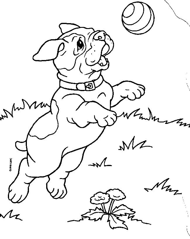 Pitbull Coloring Pages pitbull puppy coloring pages – Kids 