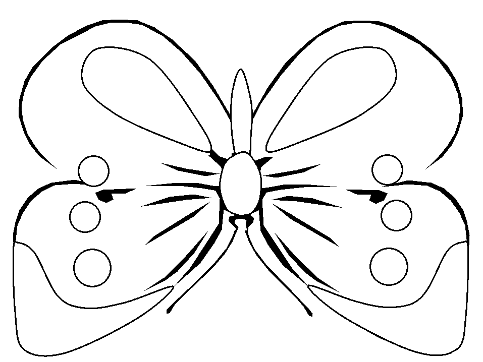 Color Pictures Of Butterflies | Coloring Pages For Girls | Kids 