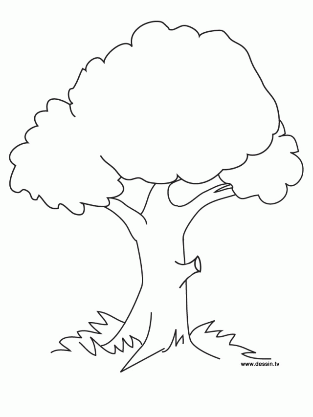 Nature Printable tree coloring pages for kids | Great Coloring Pages
