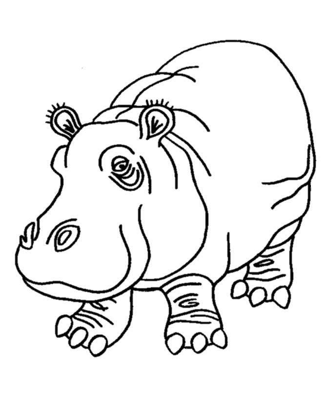 Hippo Pictures For Kids | Kids Coloring Pages | Printable Free 