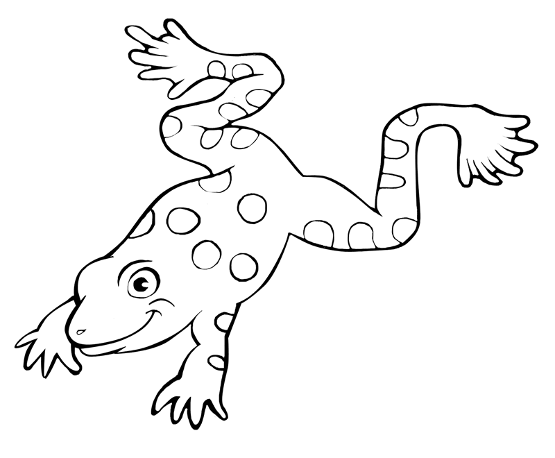 frog coloring pages 2014