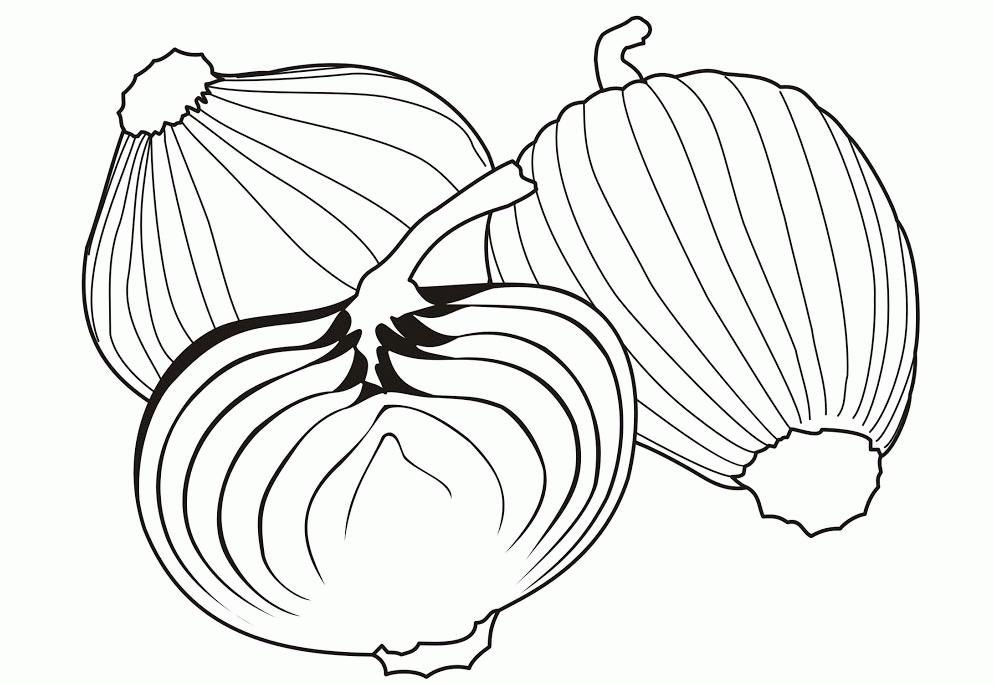 Inspirational Onions Coloring Pages | ViolasGallery.com