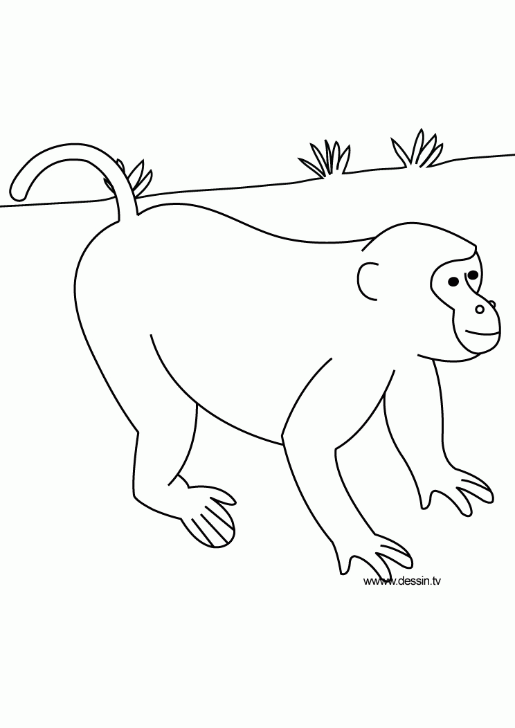 monkeys to color | Coloring Picture HD For Kids | Fransus.com744 