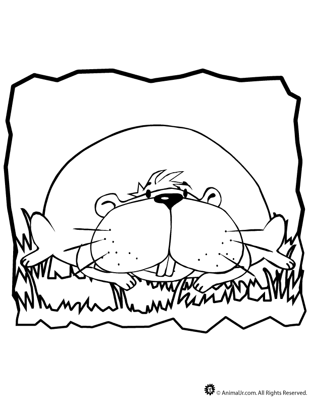 cartoon guinea pig Colouring Pages (page 3)