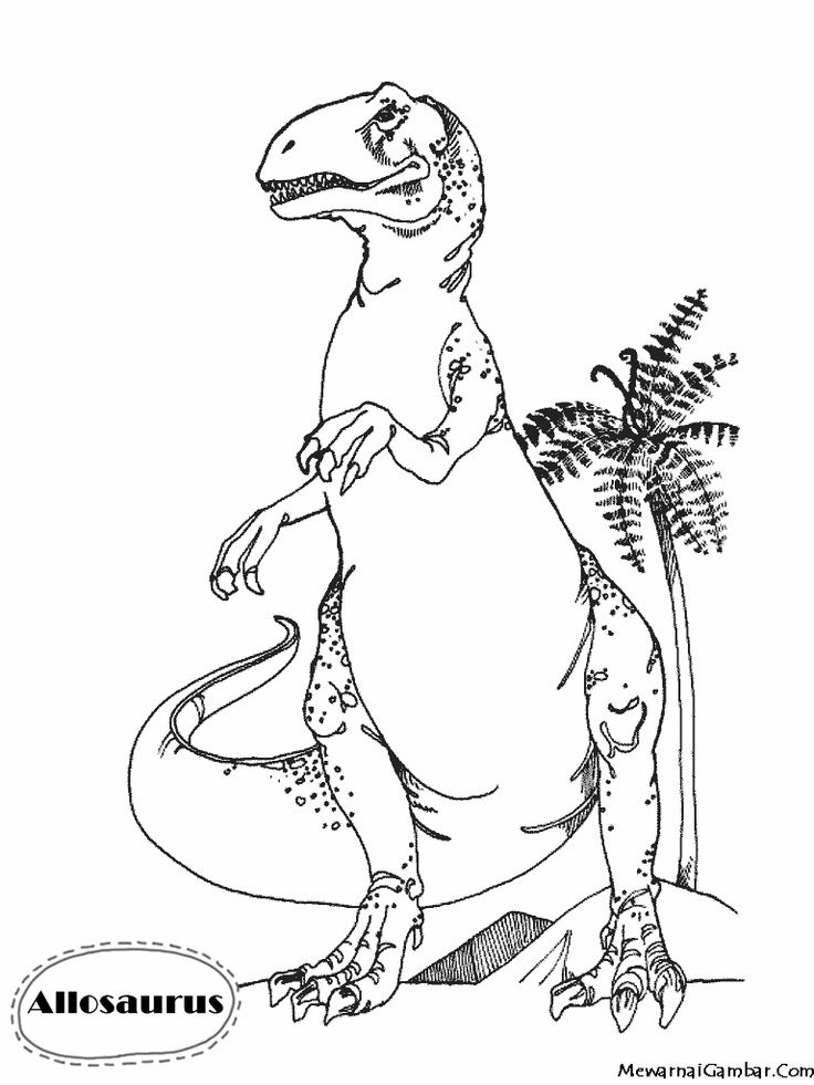 Mewarnai Gambar Allosaurus | Coloring Pages