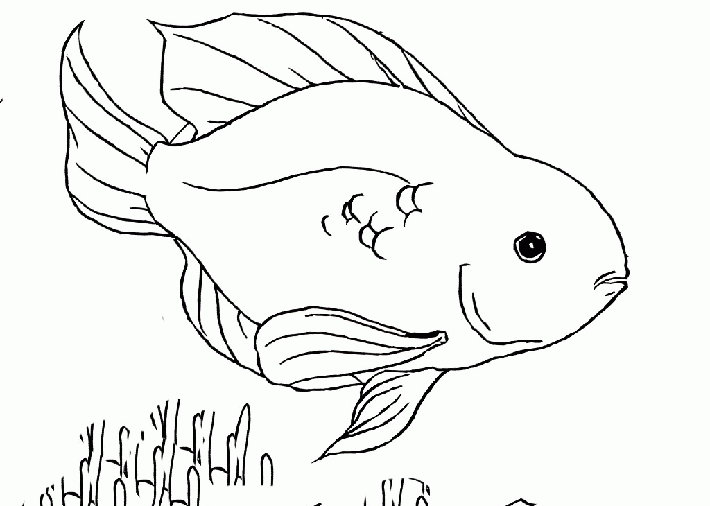 Blood Parrot Beautiful Tropical Fish Printable Coloring Pages 
