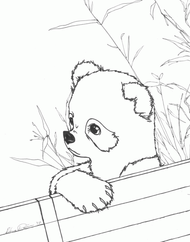 Printable Panda Eat Bamboo Coloring Pages Coloring Pages For Kids 